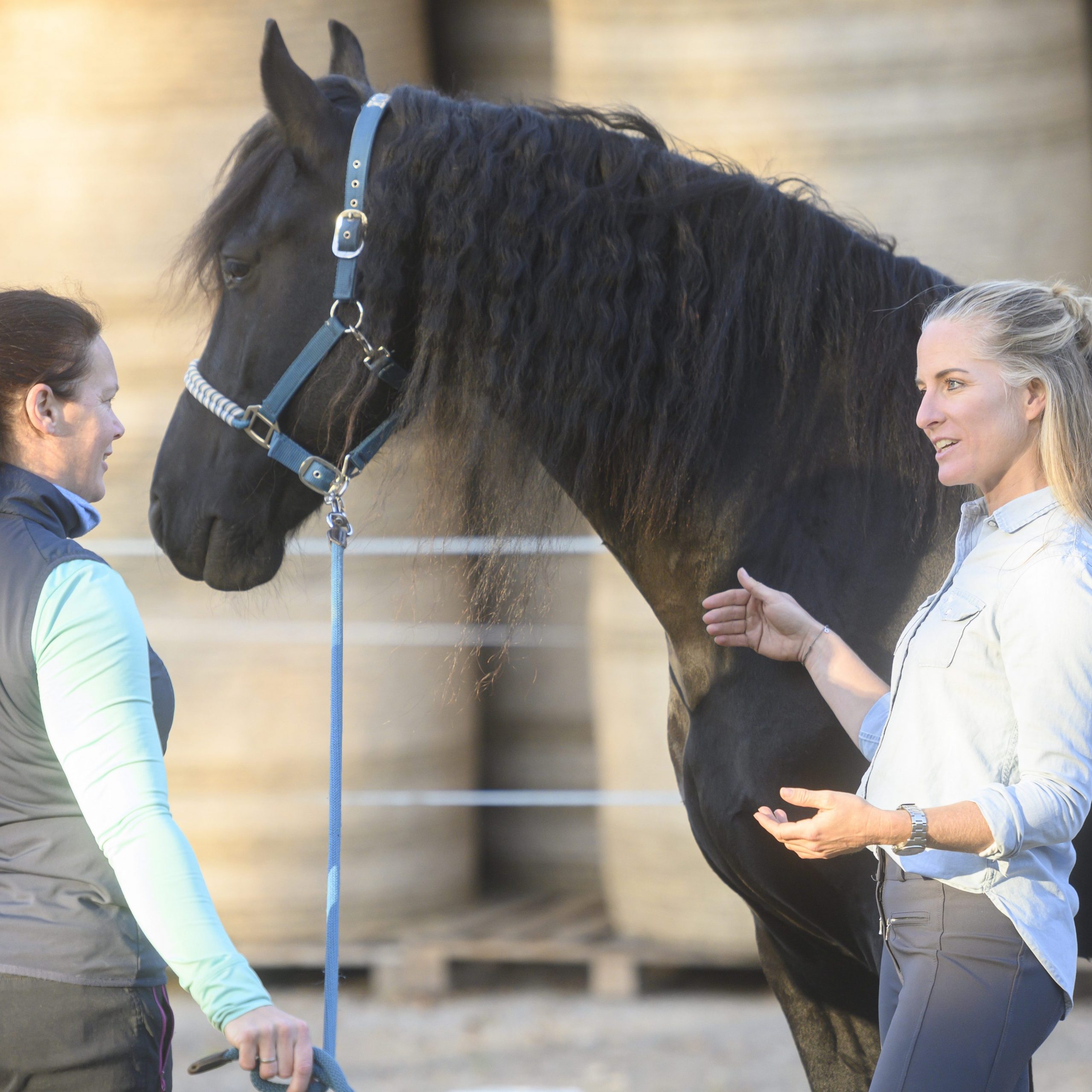 Führungskräftetrainerin Leonie Stankewitz erklärt einer Teilnehmerin die Kommunikation der Pferde